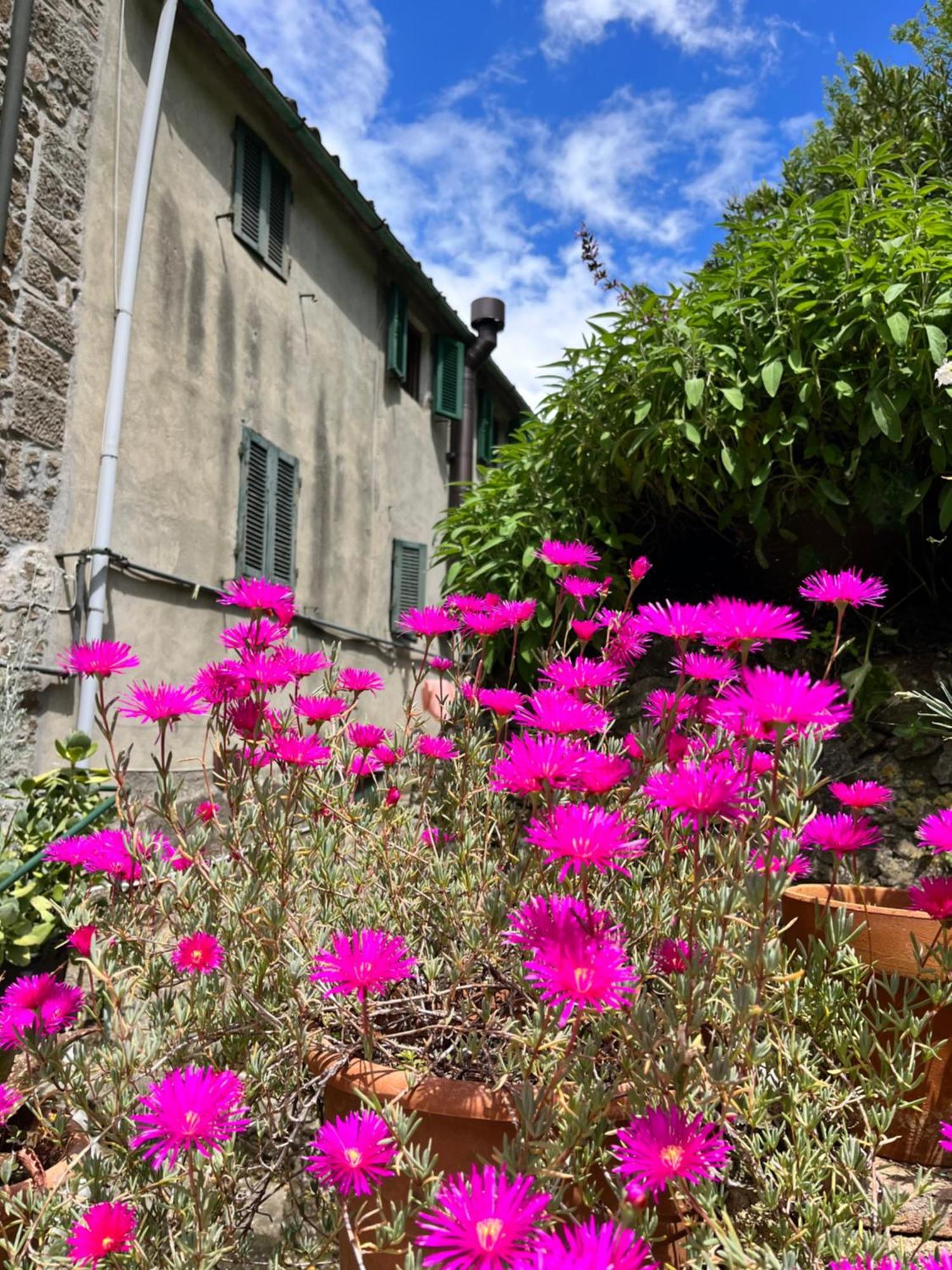Ferienwohnung Casina Orione Montecatini Val di Cecina Exterior foto